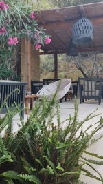 Manassu Beach Bar and Restaurant - NaviSavi