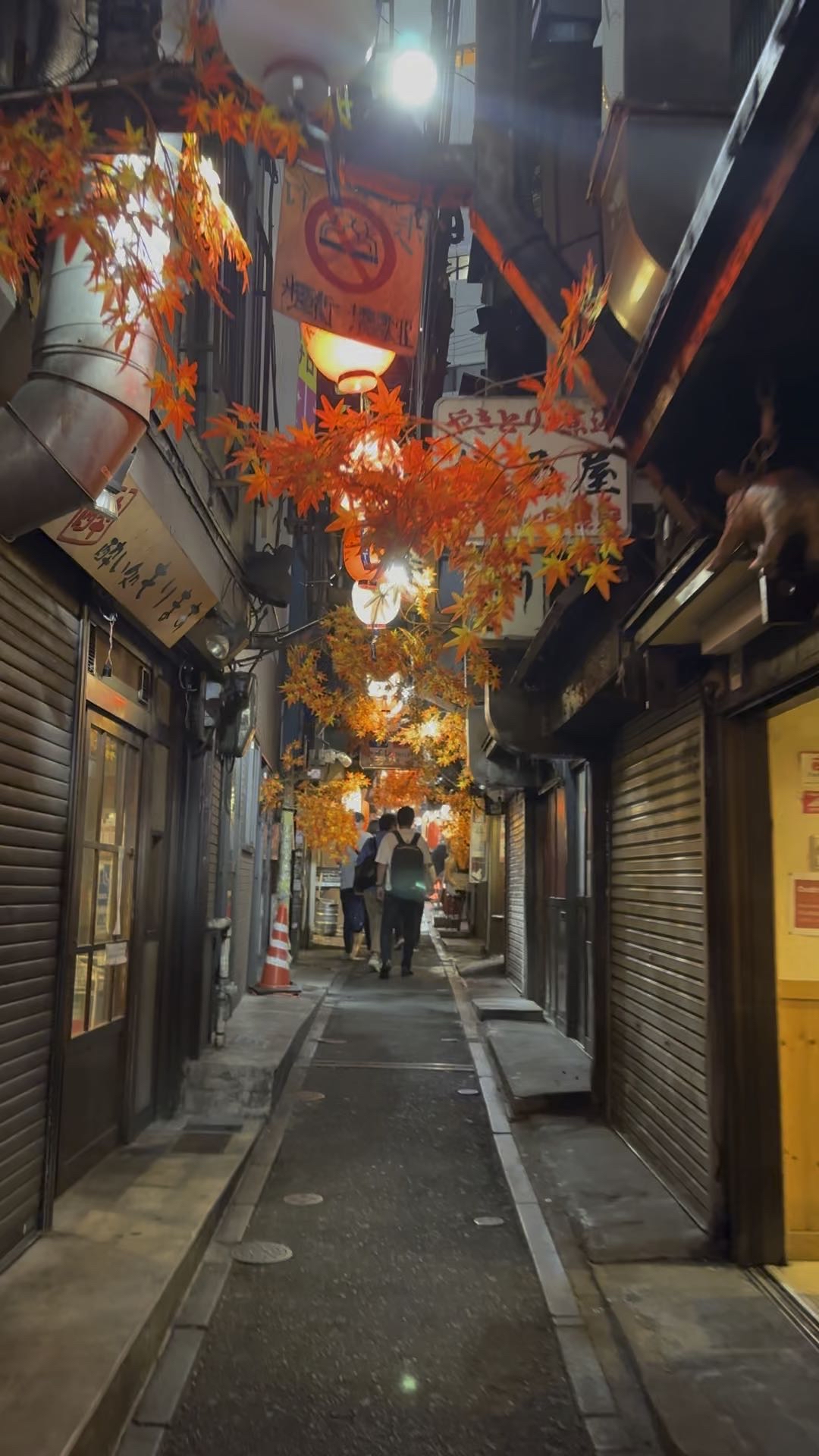 Japanese Jaunts. 日本の旅行