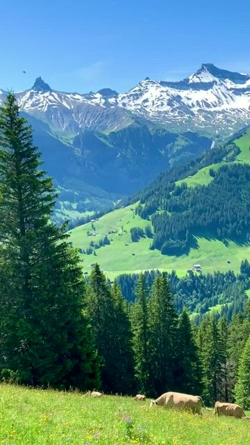 Stunning Switzerland